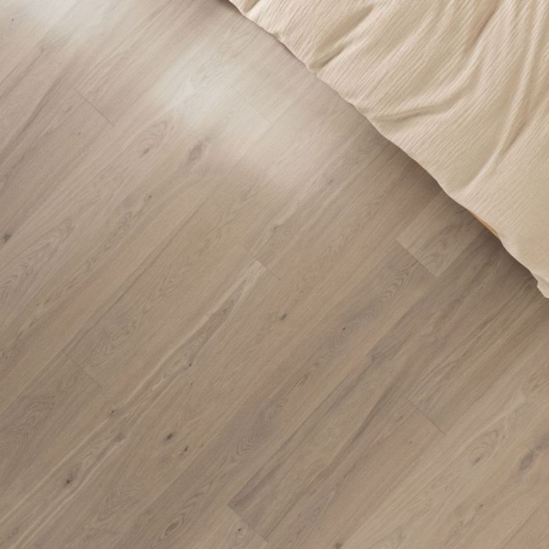 Earth Grey STEHAG - 3.0 L
