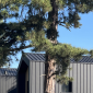 tole bac acier noir​ La PARISIENNE - 3