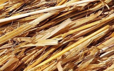 Les panneaux de paille : atout de l'éco-construction